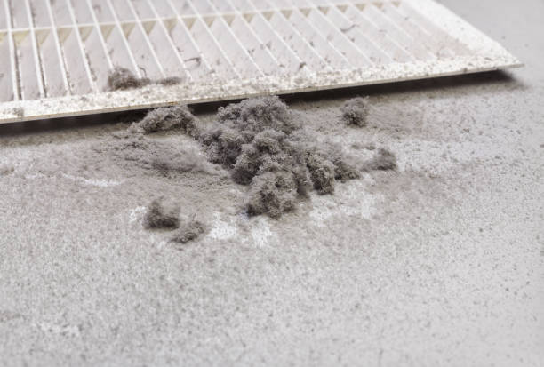 Best Professional Duct Cleaning Services  in Brookhaven, MS