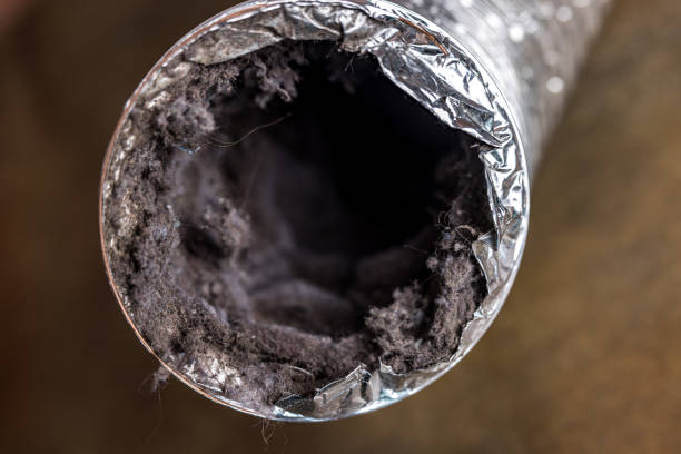 Best Ductwork Cleaning Services  in Brookhaven, MS